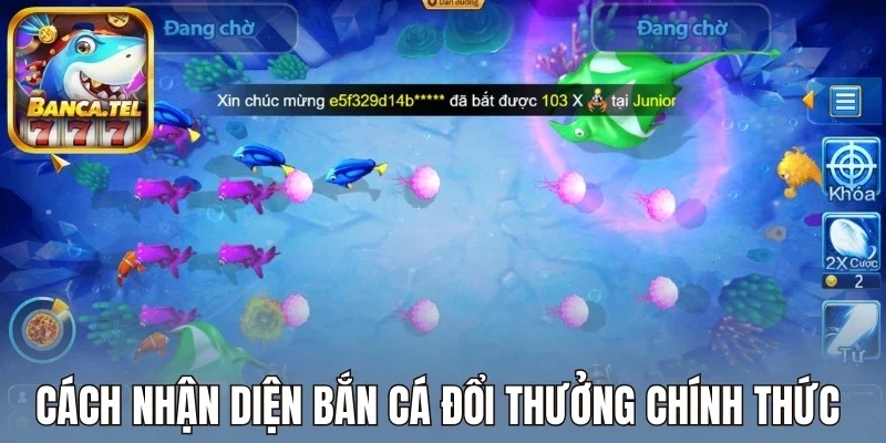 Cách nhận diện bắn cá đổi thưởng chính thức